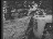 Thumbnail 16