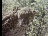 Thumbnail 25
