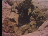 Thumbnail 16