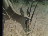 Thumbnail 38