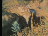 Thumbnail 22
