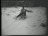 Thumbnail 34