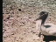 Thumbnail 19