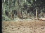 Thumbnail 24