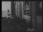 Thumbnail 32