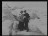 Thumbnail 66