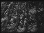 Thumbnail 21