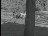 Thumbnail 33