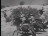 Thumbnail 22