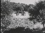 Thumbnail 16