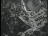 Thumbnail 35