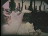 Thumbnail 54