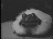 Thumbnail 57