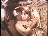 Thumbnail 24