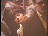 Thumbnail 25