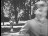 Thumbnail 19
