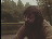 Thumbnail 20