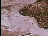 Thumbnail 16