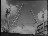 Thumbnail 18