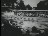 Thumbnail 39