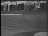 Thumbnail 46