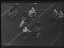 Thumbnail 20
