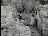 Thumbnail 23