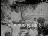 Thumbnail 22