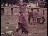 Thumbnail 16