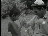Thumbnail 19