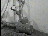 Thumbnail 23