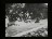 Thumbnail 37