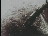 Thumbnail 17