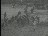 Thumbnail 20