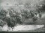Thumbnail 16