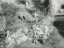 Thumbnail 38