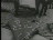 Thumbnail 30