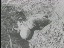 Thumbnail 28