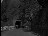 Thumbnail 29