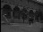 Thumbnail 35