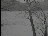 Thumbnail 68