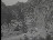 Thumbnail 26