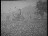 Thumbnail 21