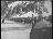 Thumbnail 39