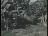 Thumbnail 29