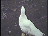 Thumbnail 28