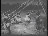 Thumbnail 28
