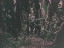 Thumbnail 16