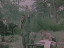 Thumbnail 22
