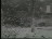 Thumbnail 30